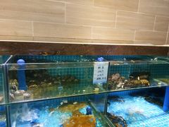 水产区-良师门滨海人家·海鲜·家常菜(滨海城店)