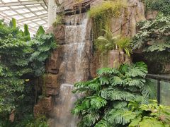 -昆明植物园