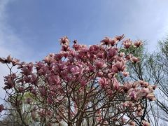 -永定河休闲森林公园