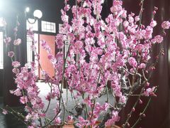 -北京明城墙遗址公园