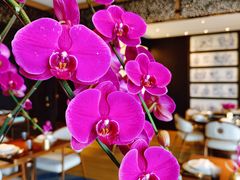 -王府井文华东方酒店-紫膳餐厅