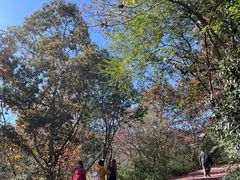 -敬亭山风景名胜区