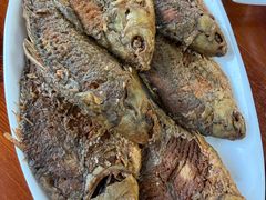 -独流饭店(静海区国土资源分局西)