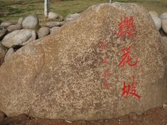 -堤角公园