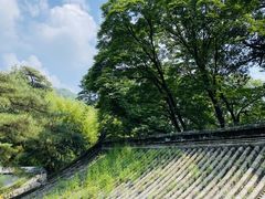 -潭柘寺景区