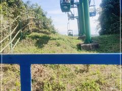 -野象谷景区