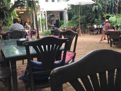 -Fern Forest Cafe