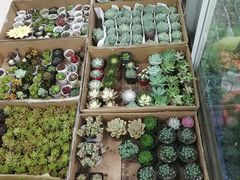-无锡文化工艺品市场(槐古路店)