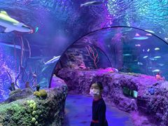 -沈阳海洋探索中心