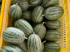 -庞各庄翠芳园西瓜蔬菜基地采摘园