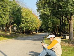 -杏花村文化旅游区