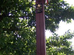 -秀全公园游泳馆(花都店)