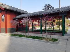 -天津市峰山药王古寺