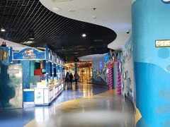 -海合安青岛极地海洋公园