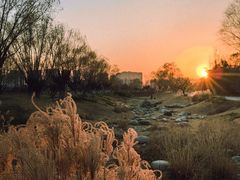 -汉长安城未央宫国家考古遗址公园