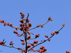 -东涌水乡风情街