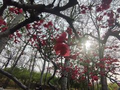 -元大都城垣遗址公园