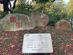 -中山公园