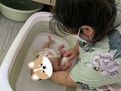 -田螺阿姨自营月嫂·育儿嫂(高新店)