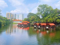 -侨美·唐荔园·40年地道粤菜