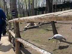 -哈尔滨北方森林动物园