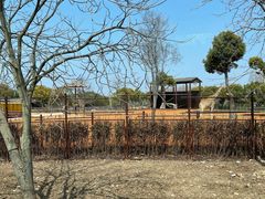 -上海野生动物园