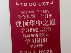 -武汉绿地中心
