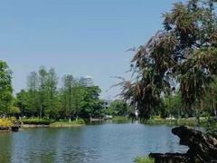 -广州国际生物岛