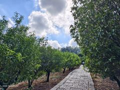 -水濂山森林公园