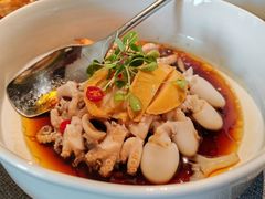 -秀儿四九城·新京菜(亚运村鸟巢店)