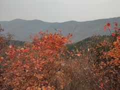 -香山公园