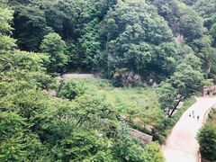 -牛背梁国家森林公园