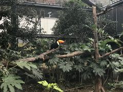 -苏州上方山国家森林公园