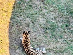 -西霞口神雕山野生动物世界