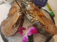 小青龙-海月轩海鲜豆捞(紫金塔店)