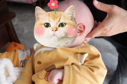 -龙文宝贝上门婴儿理发满月剃胎毛(黄浦店)