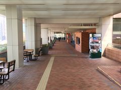-香港大学