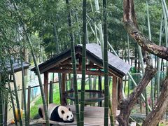 -天目湖御水温泉·度假酒店