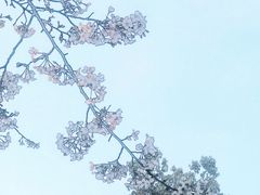 -山北老老头馄饨