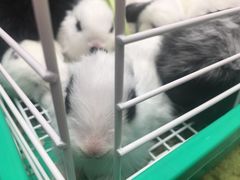 -方恒购物中心(望京小街店)