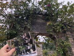 -老木棉·匠园