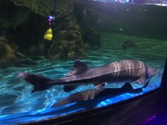 -常州海昌海洋探索馆