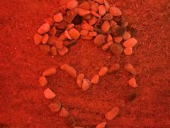 -碧中海汤泉汗蒸酒店