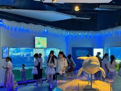 -重庆欢乐海底世界