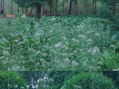 -长春公园(普阳街道)