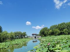 -长春市南湖公园