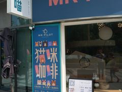 门面-飞行喵MR PILOT|猫舍·猫咖(静安大融城店)