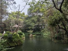 -广州兰圃