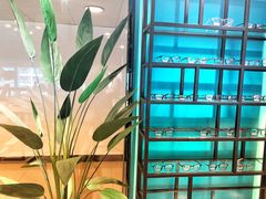 -Trend1881视光·蔡司视觉(领展广场店)