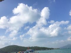 -珊瑚岛
